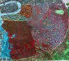 IMG_2064.jpeg