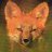 Ken Fox